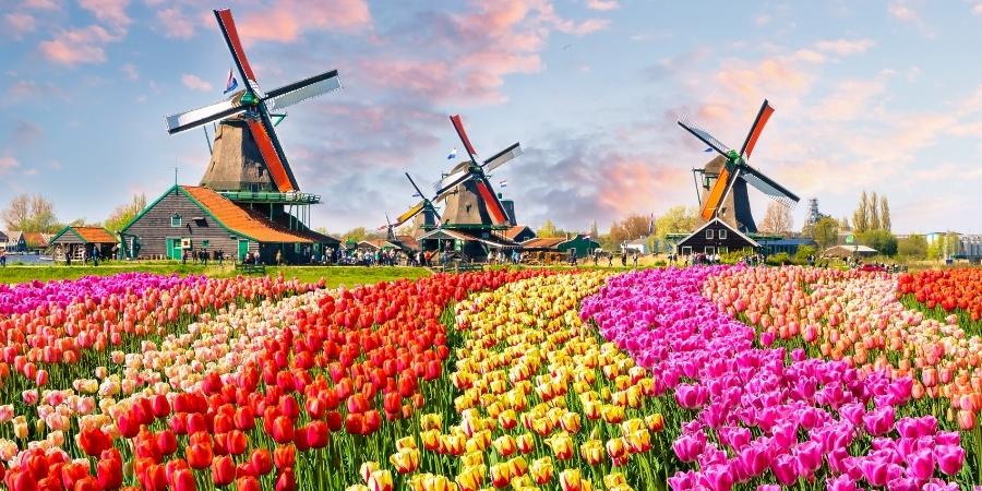 Países Bajos Mejores Países del Mundo