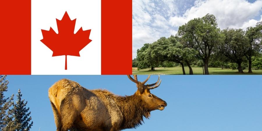 Simbolos Canadienses de gran importancia